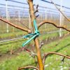 apple-trees-plantation-irrigation-system-30062043.jpg apple-trees-plantation-irrigation-system-30062043.jpg