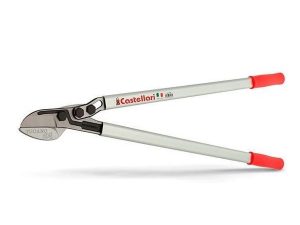 castellari_troncarami_100_5505809