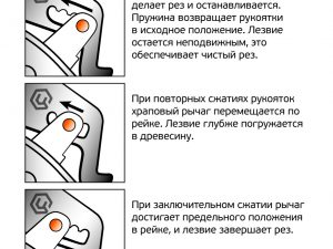 1e282918f33f4d8d2ba847911e8d456c